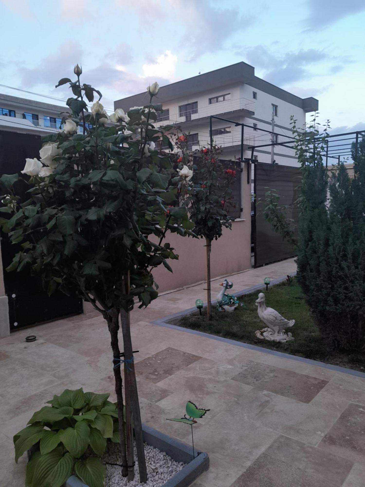 Casa Andrei Apartman Năvodari Kültér fotó